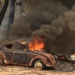 Incendi fuori controllo e caldo record in Australia: il Nuovo Galles del Sud dichiara lo stato d’emergenza