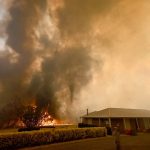 Incendi fuori controllo e caldo record in Australia: il Nuovo Galles del Sud dichiara lo stato d’emergenza