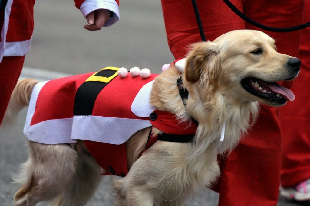 La corsa dei Babbi Natale, in migliaia per le strade di Madrid