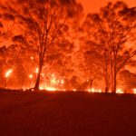 Emergenza incendi in Australia: “scene terrificanti”, 2 morti e 4mila intrappolati in spiaggia [FOTO]