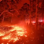 Emergenza incendi in Australia: “scene terrificanti”, 2 morti e 4mila intrappolati in spiaggia [FOTO]