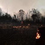 Emergenza incendi in Australia: “scene terrificanti”, 2 morti e 4mila intrappolati in spiaggia [FOTO]