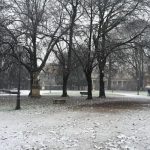 Maltempo Veneto: a Vicenza scatta il piano neve [FOTO]