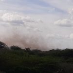 Uno sciame di locuste di proporzioni bibliche sta invadendo l’Africa orientale: miliardi di insetti stanno causando devastazione in Kenya, Etiopia e Somalia [FOTO e VIDEO]