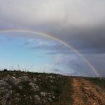 Meteo Puglia: ultimi refoli invernali tra Santeramo e Altamura [FOTO]