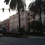 Maltempo Sicilia, forte vento a Messina: palme a rischio in viale San Martino, tram bloccati [FOTO LIVE]