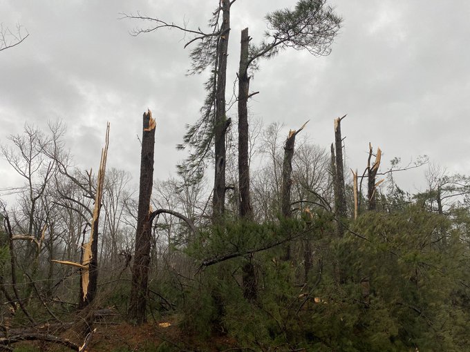 Violente Tempeste Nel Sud Degli USA: Alluvioni E Tornado Lasciano Le ...