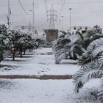 Meteo, rarissima nevicata imbianca Baghdad: evento storico, nella capitale dell’Iraq non era mai caduta così tanta neve [FOTO e VIDEO]