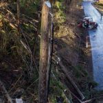 Tempesta Ciara, in Austria venti a 150km/h: devastata un’intera foresta [FOTO e VIDEO]