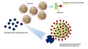 anticorpo coronavirus