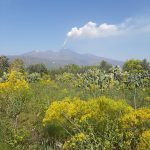 Etna: aumenta l’ampiezza del tremore vulcanico, attività stromboliana e fontana di lava pulsante [FOTO]