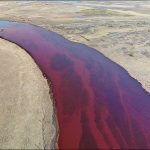 Russia, disastro ambientale in Siberia: 20mila tonnellate di gasolio finiscono in un fiume, le acque si tingono di rosso [FOTO]