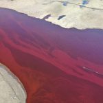 Russia, disastro ambientale in Siberia: 20mila tonnellate di gasolio finiscono in un fiume, le acque si tingono di rosso [FOTO]