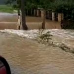 Maltempo, devastanti alluvioni in Serbia: fiumi straripati, ponti crollati, centinaia di persone isolate [FOTO e VIDEO]