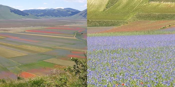 Castelluccio di Norcia