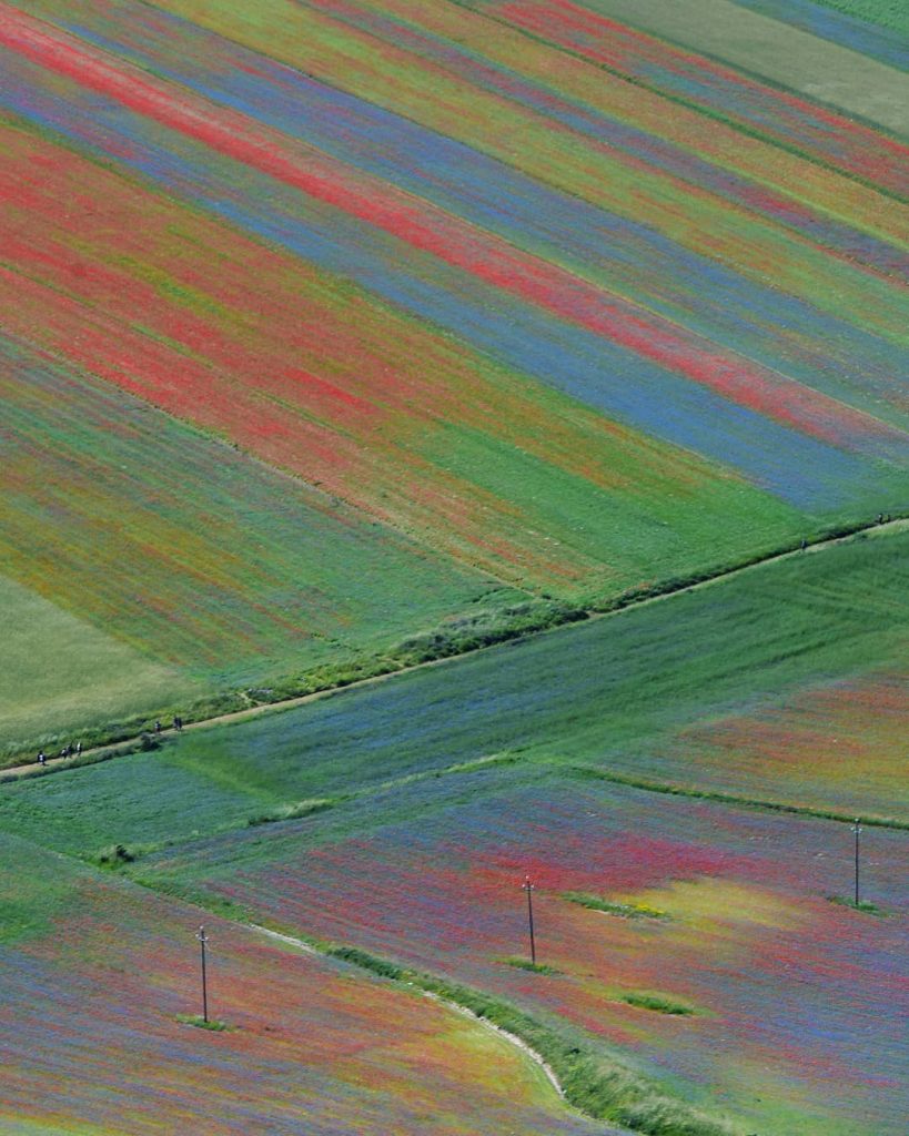 Castelluccio di Norcia