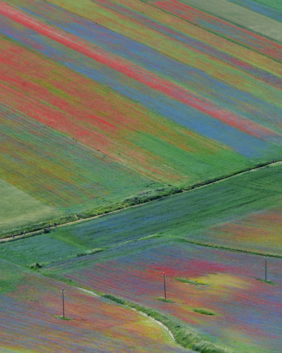 Castelluccio di Norcia