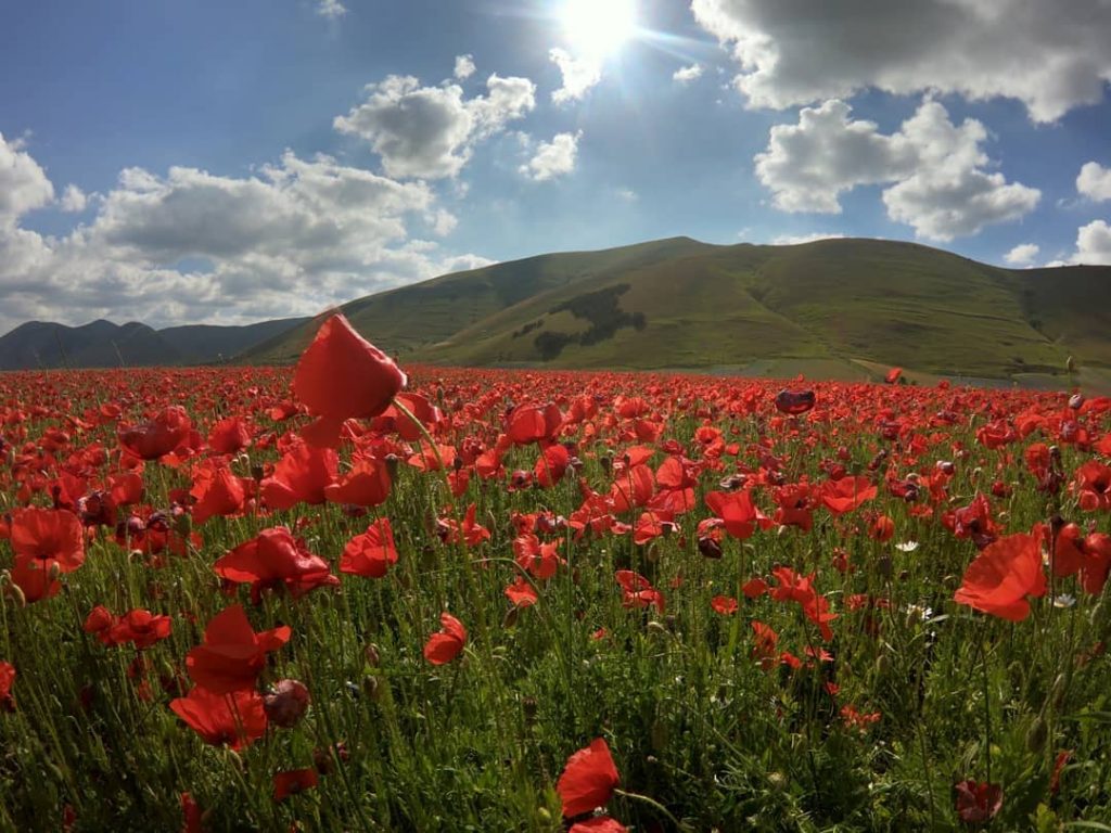 Castelluccio di Norcia