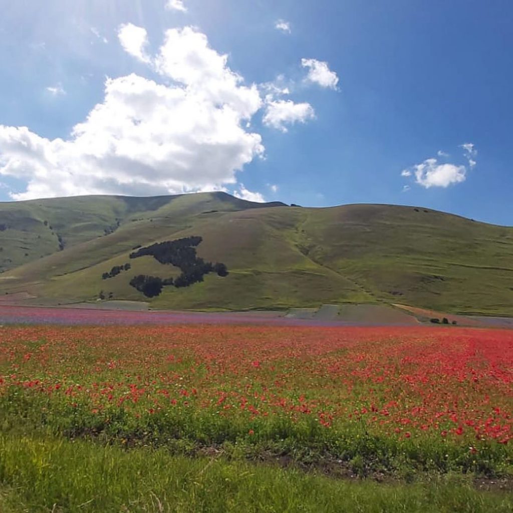 Castelluccio di Norcia