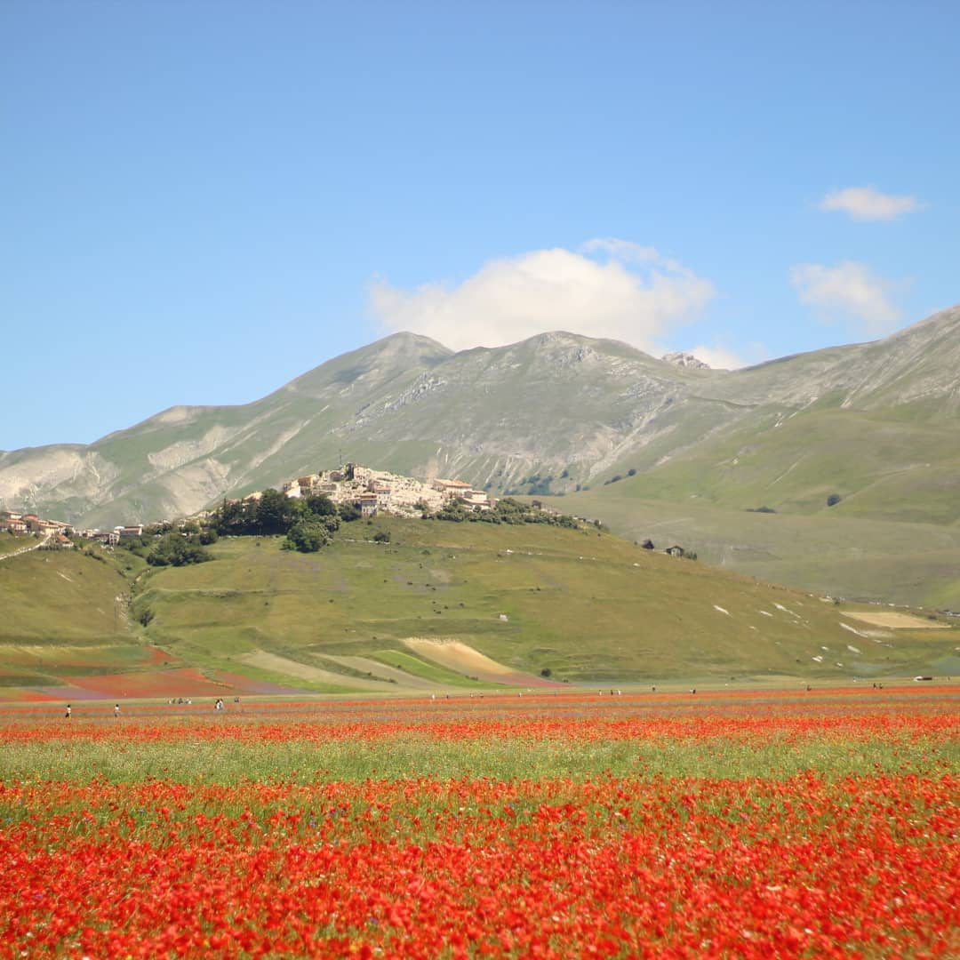 Castelluccio di Norcia