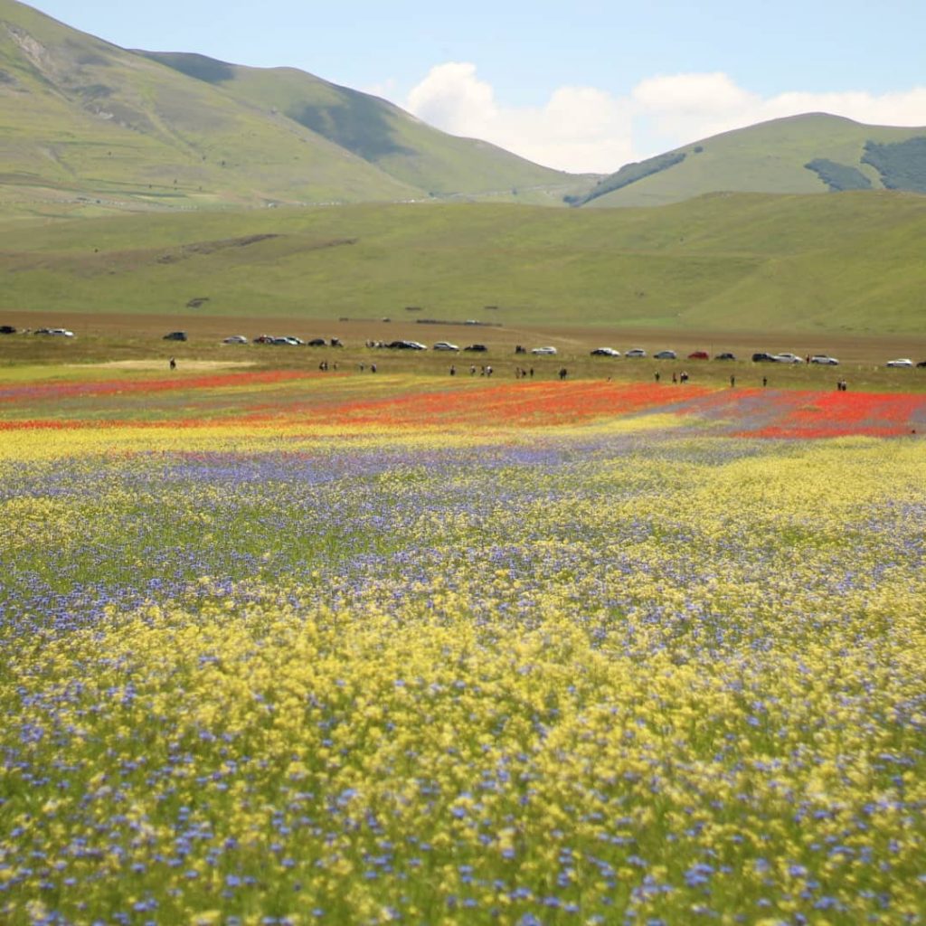 Castelluccio di Norcia