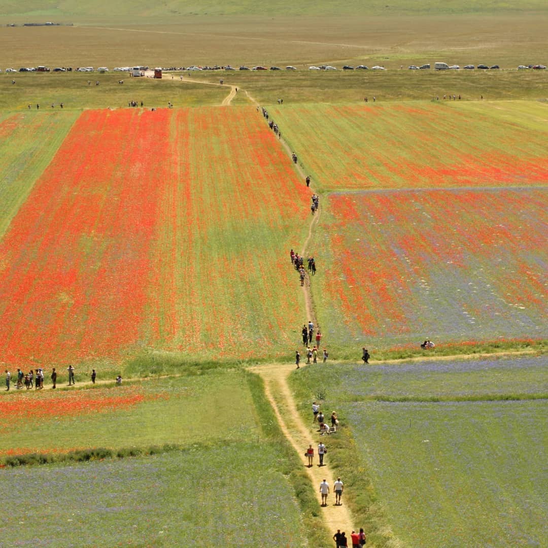 Castelluccio di Norcia