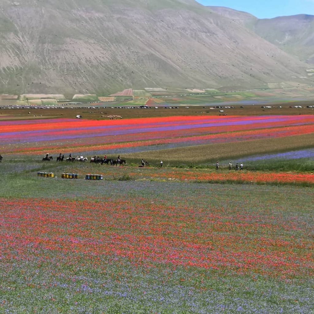 Castelluccio di Norcia