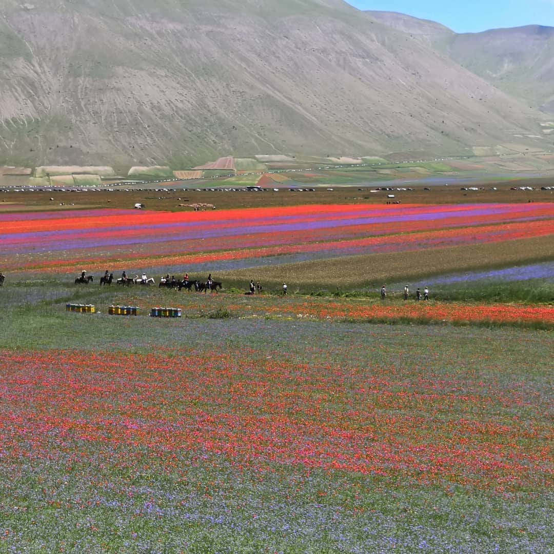 Castelluccio di Norcia