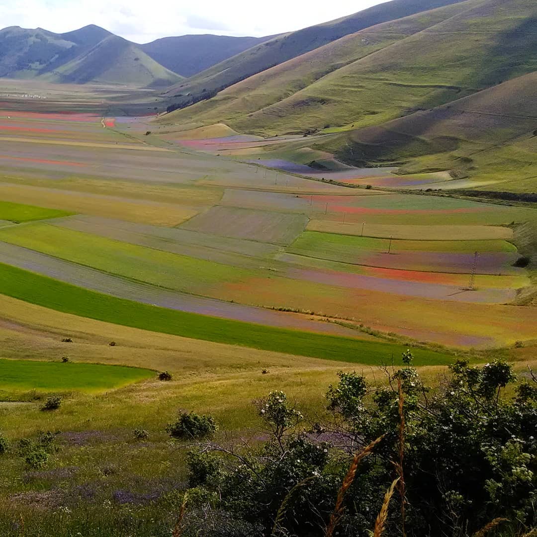 Castelluccio di Norcia