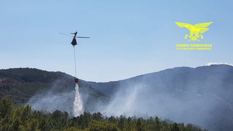 incendi sardegna