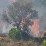 Incendi Sicilia, boschi bruciano da 24 ore nel Palermitano: in fumo ettari di macchia mediterranea [FOTO]