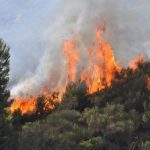 Incendi Sicilia, boschi bruciano da 24 ore nel Palermitano: in fumo ettari di macchia mediterranea [FOTO]