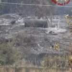 Incendi, brucia la Sicilia da Est a Ovest: roghi a Capo d’Orlando e Naso, ancora fiamme a San Martino delle Scale e nel Trapanese [FOTO]