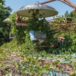 Un mondo sospeso: la bellezza inquietante del Nara Dreamland, la risposta giapponese a Disneyland finita nell’abbandono [FOTO]