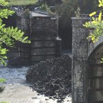 Maltempo: crollato Ponte Lenzino nel Piacentino sulla 45 tra Marsaglia e Ottone [FOTO]