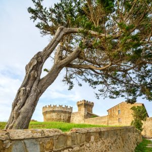 Populonia