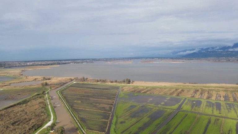 Foto Lago Massaciuccoli