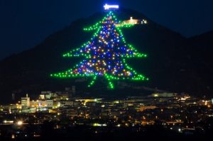 albero gubbio