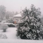 Maltempo, lo scirocco regala una spettacolare nevicata al Nord/Ovest: NEVE OVUNQUE da Torino a Malpensa, le FOTO