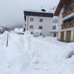 Maltempo, a Vermiglio 2 metri di neve fresca: scenario incredibile ai piedi del Passo del Tonale [FOTO]