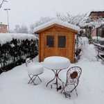 Maltempo Lombardia, lo spettacolo della neve a Bergamo: alberi caduti, blackout e strade bloccate in provincia, 15cm a Milano [FOTO]