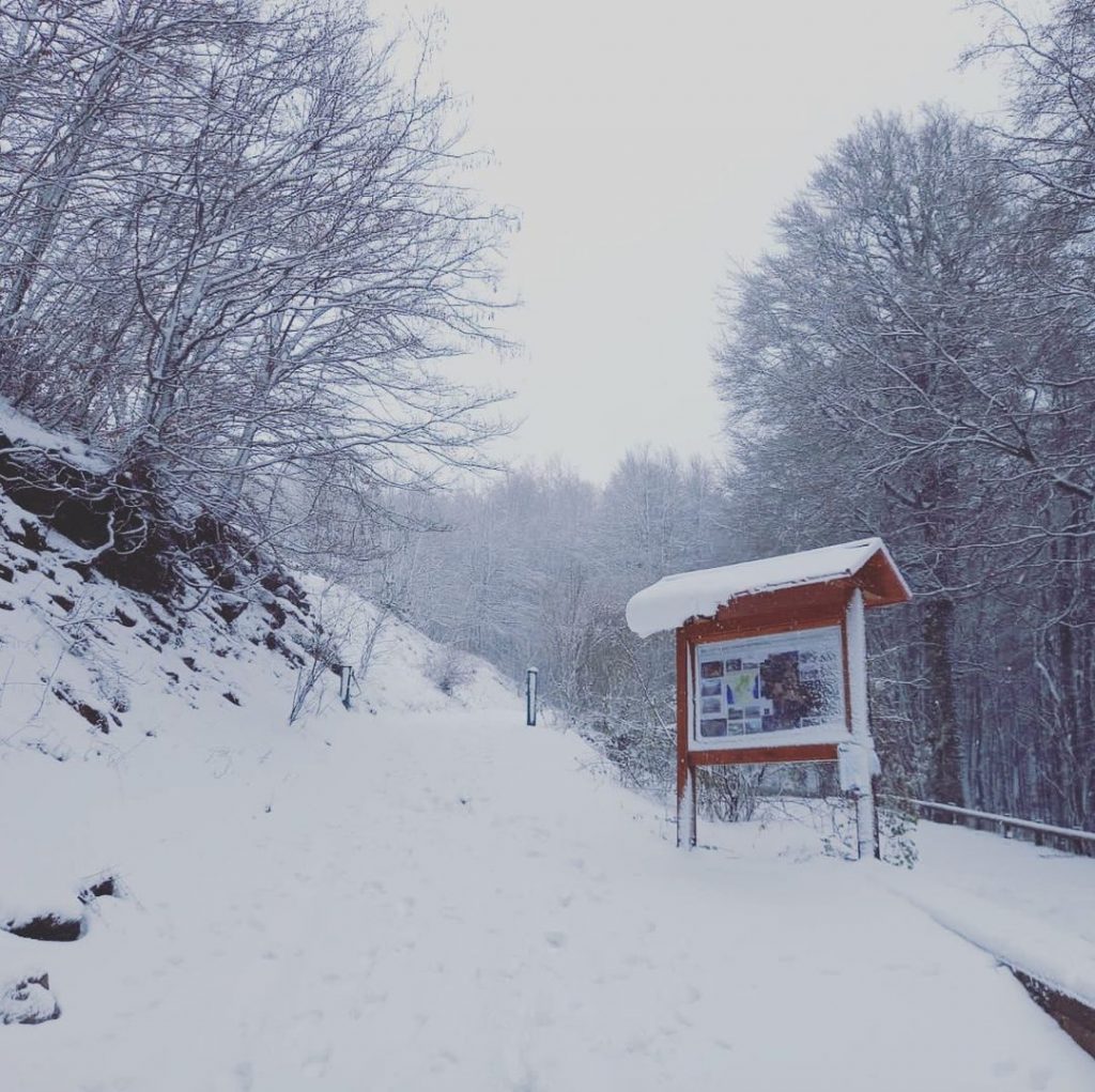 neve colle imposo pollino