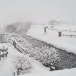 Maltempo Lombardia, fitte nevicate in Valtellina e Valchiavenna: scenari da fiaba a Livigno e Bormio [FOTO e VIDEO]