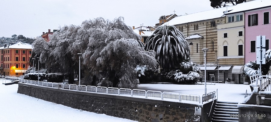 neve savona oggi