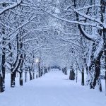 Maltempo, tanta neve anche in Slovenia: fino a mezzo metro di coltre bianca e ghiaccio [FOTO]