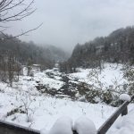 Maltempo, tanta neve in Trentino Alto Adige: almeno 80 cm di manto bianco, ed è solo un assaggio [FOTO]