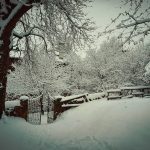 Maltempo Lombardia: fino a 30cm di neve a Varese, raffica di incidenti stradali nel Pavese: pullman fuori strada, tir ‘parcheggiati’ nei campi [FOTO]