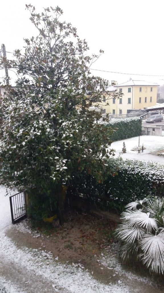 neve veneto