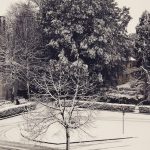 Maltempo, tante neve oggi in Friuli: Udine ricoperta dal manto bianco, fiocchi anche nel Goriziano e nel Pordenonese [FOTO]