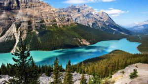 Peyto Lake